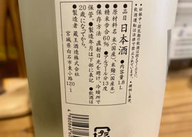 alt 3