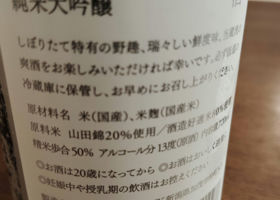 alt 1