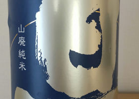 alt 1