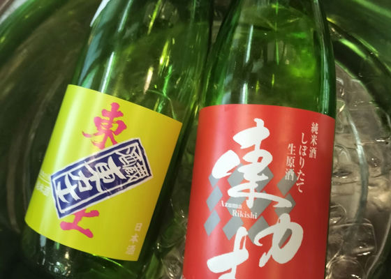 東力士