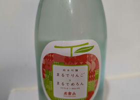 alt 1