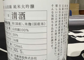 alt 3