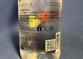 alt 2
