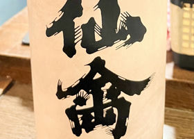 alt 1