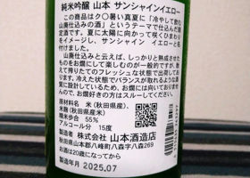 alt 3