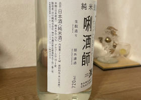 alt 3