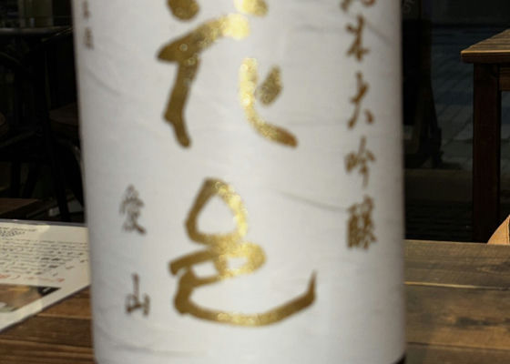 alt 1