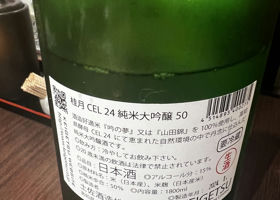 alt 3