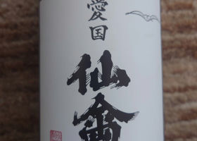 alt 1