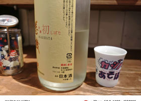 alt 4