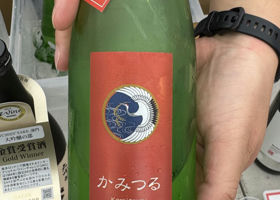 alt 1