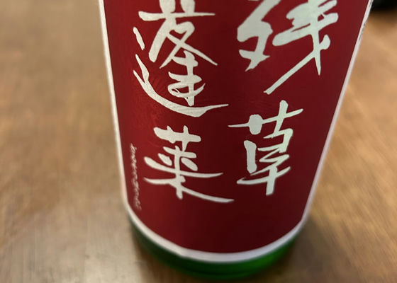 alt 1