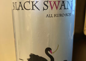 Black swan チェックイン 1