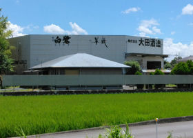 alt 3