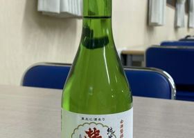 alt 1