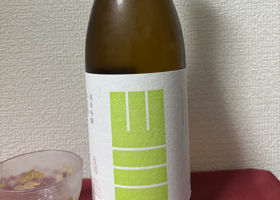alt 1