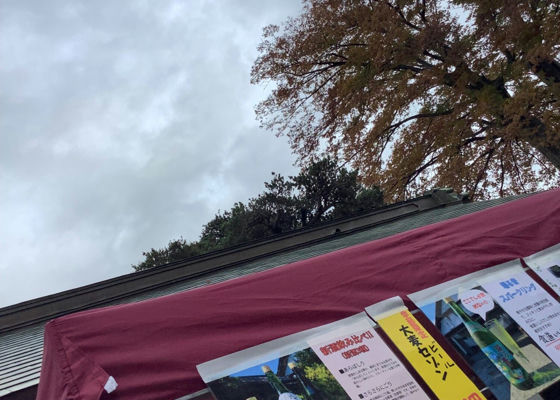 多満自慢