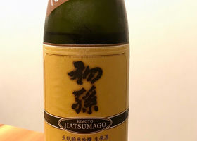 Hatsumago Check-in 1