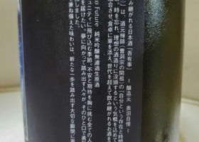 alt 3