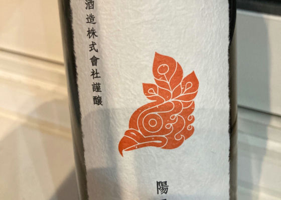 新政