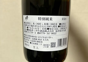alt 3