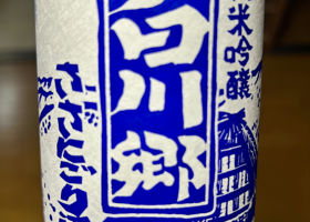 alt 1
