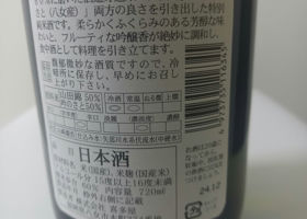 alt 3