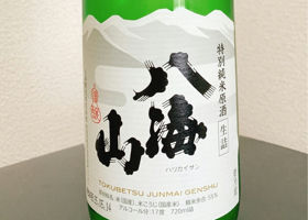 alt 1