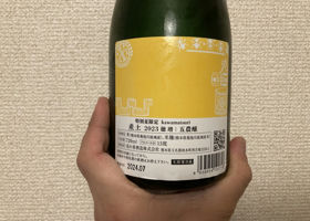 alt 4