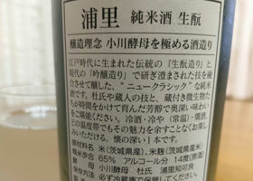 alt 3