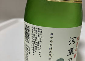 alt 3