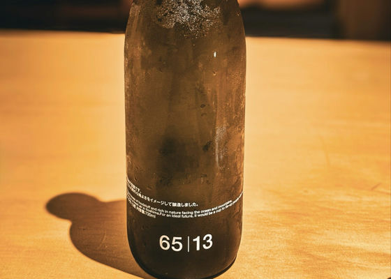 alt 1
