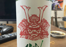 alt 1