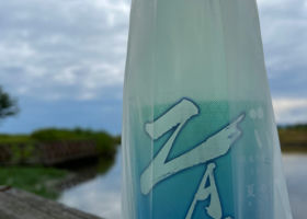 alt 2
