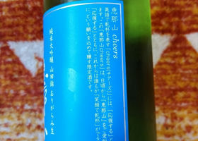 alt 3