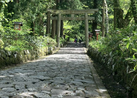 源流どぶろく上代 チェックイン 3