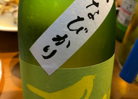 alt 1