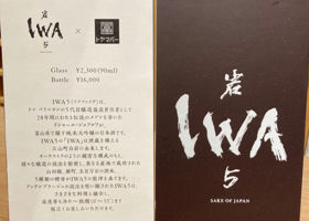 IWA5 Check-in 3