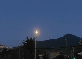 alt 4