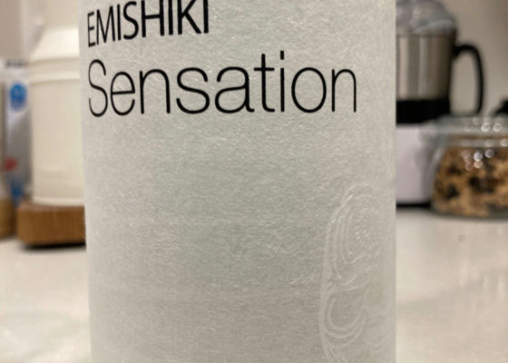 Emishiki Check-in 1