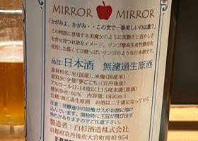 MIRROR MIRROR 签到 2