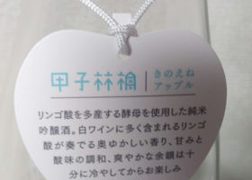 alt 2