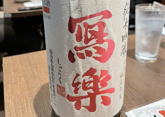 alt 1