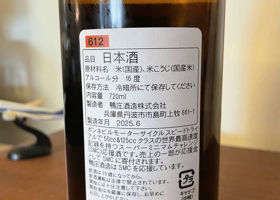 alt 3