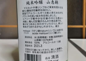alt 2