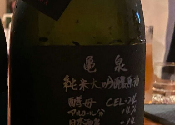 alt 1