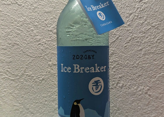 alt 1