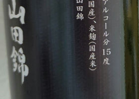 alt 3