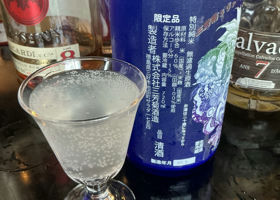 alt 3