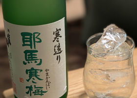alt 2